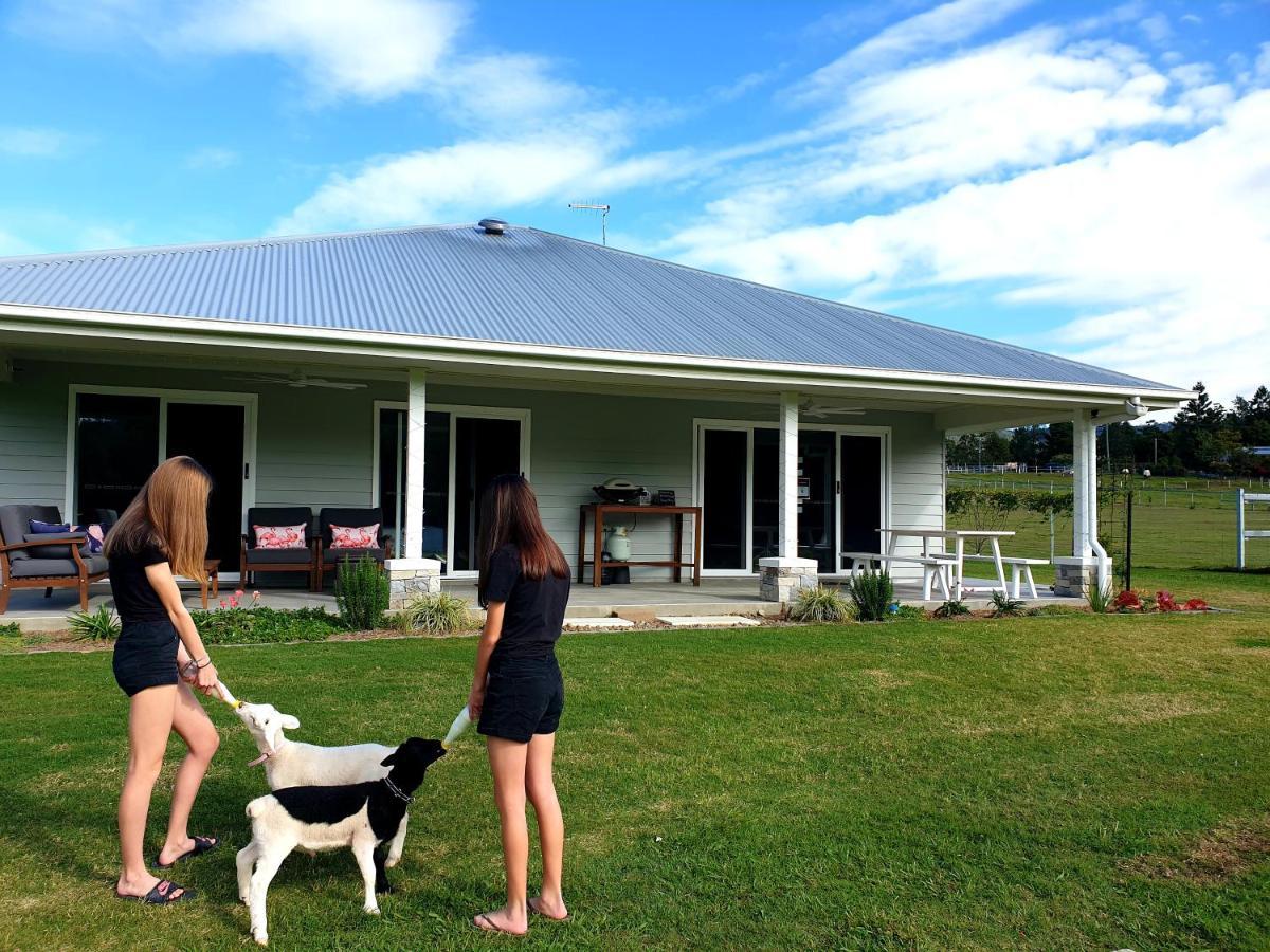 Farm stay Fig Tree Farm Highvale-farmstay Near Brisbane!