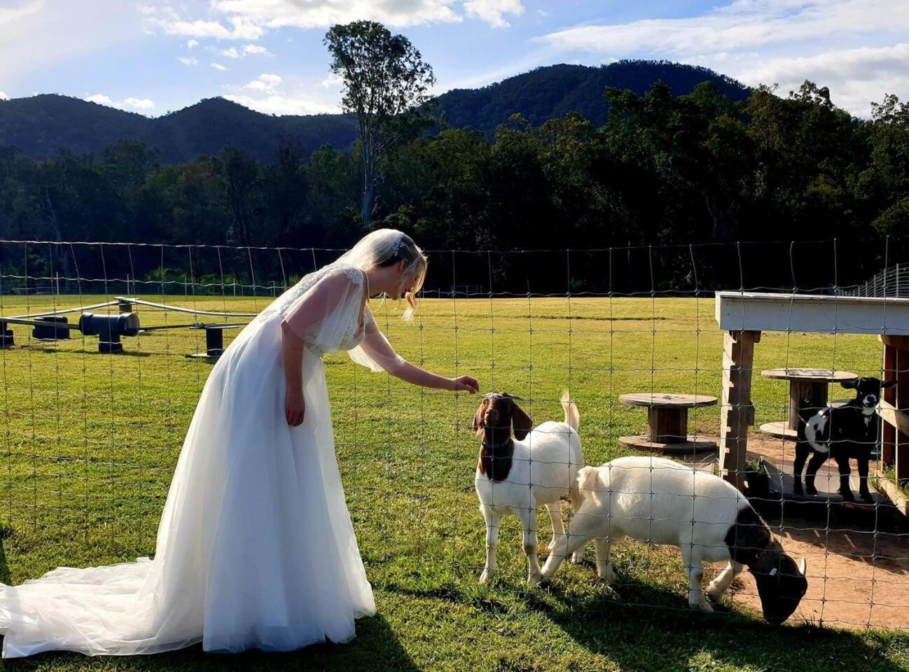 Fig Tree Farm Highvale-farmstay Near Brisbane! Farm stay *