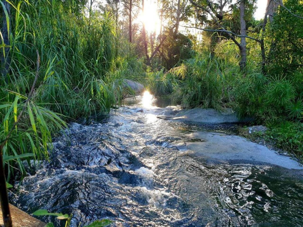 Farm stay Fig Tree Farm Highvale-farmstay Near Brisbane! *