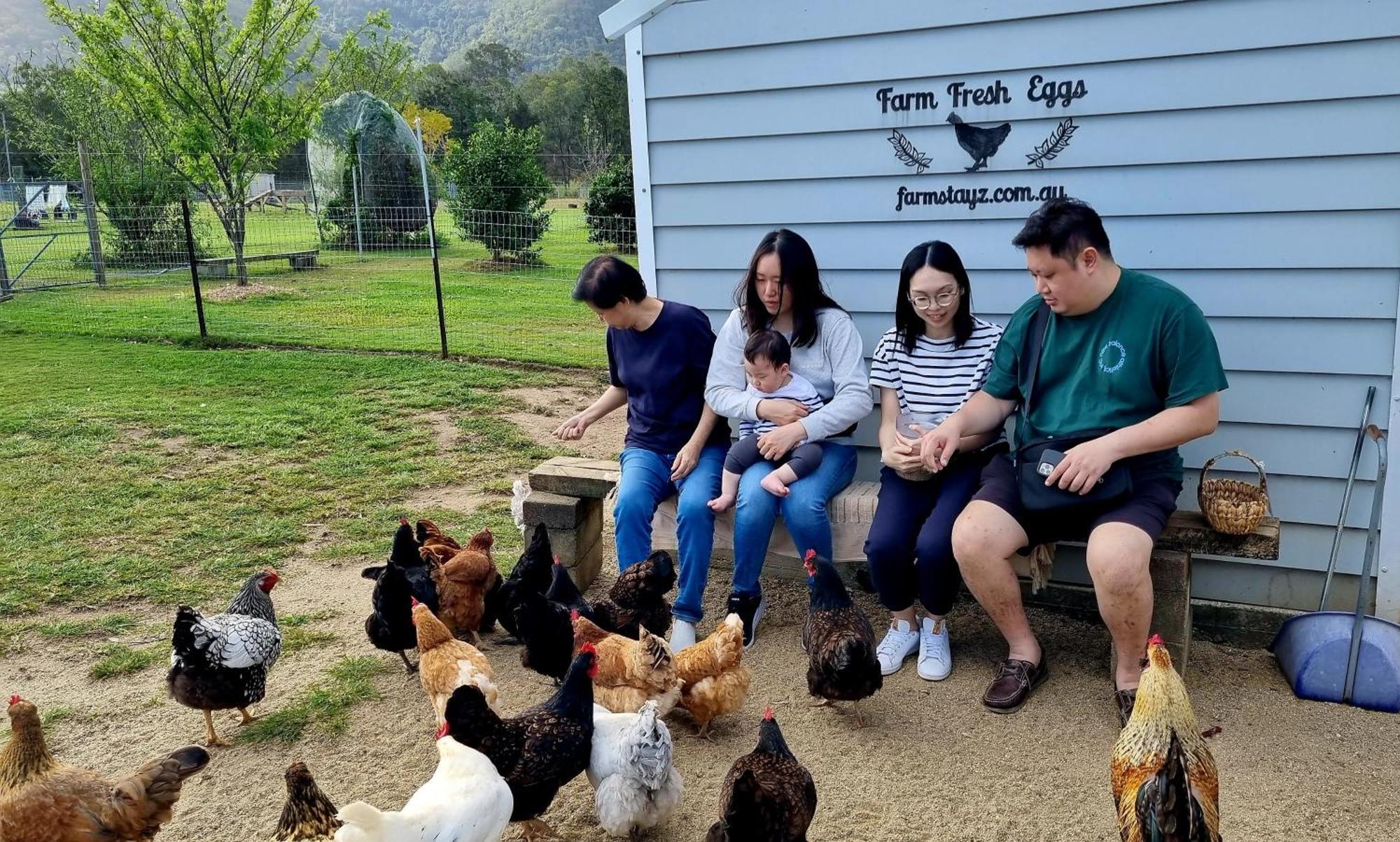 Fig Tree Farm Highvale-farmstay Near Brisbane!